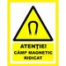 Placuta atentie camp magnetic ridicat